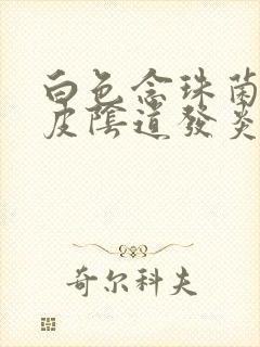 白色念珠菌性表皮阴道发炎