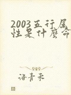 2003五行属性是什么命