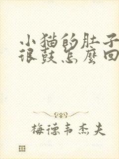 小猫的肚子很大很鼓怎么回事