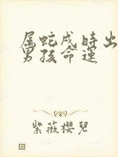 属蛇戌时出生的男孩命运