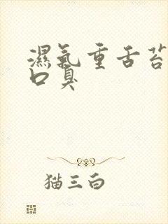 湿气重舌苔黄腻口臭封面