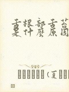 舌根部舌苔白腻是什么原因啊