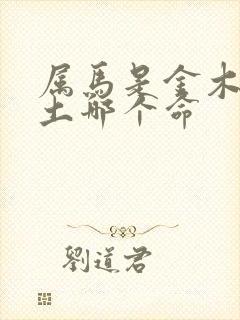 属马是金木水火土哪个命