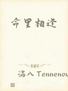 命里相逢封面