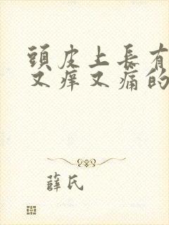 头皮上长有很多又痒又痛的小疙瘩