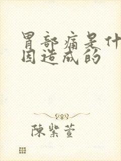 胃部痛是什么原因造成的封面