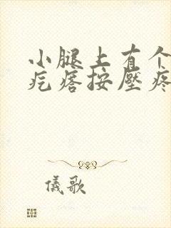 小腿上有个小硬疙瘩按压疼