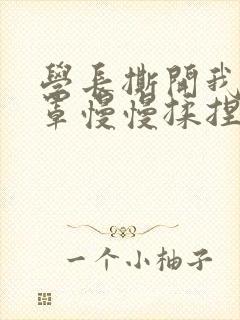 学长撕开我的乳罩慢慢揉捏小说封面