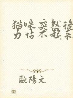 猫咪突然后腿无力站不起来