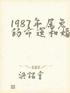 1987年属兔的命运和婚姻怎么样?