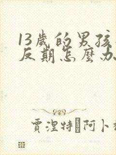 13岁的男孩逆反期怎么办