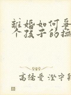 离婚如何争夺两个孩子的抚养权