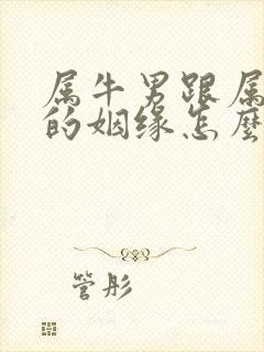 属牛男跟属鼠女的姻缘怎么样