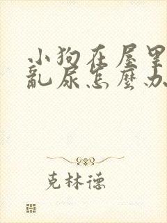 小狗在屋里乱拉乱尿怎么办