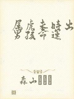 属虎未时出生的男孩命运