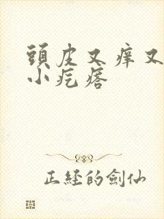 头皮又痒又疼起小疙瘩