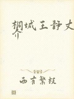 桐城王静丈夫简介