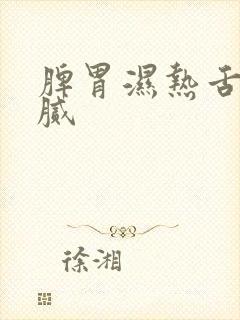 脾胃湿热舌苔黄腻封面