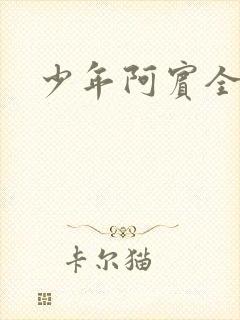 少年阿宾全文封面