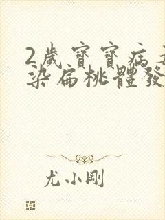 2岁宝宝病毒感染扁桃体发炎发烧吃什么药