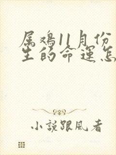 属鸡11月份出生的命运怎么样