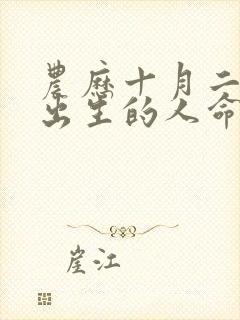 农历十月二十九出生的人命运