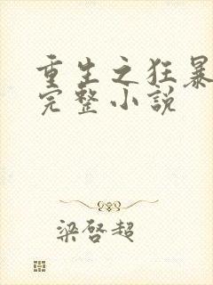 重生之狂暴火法完整小说