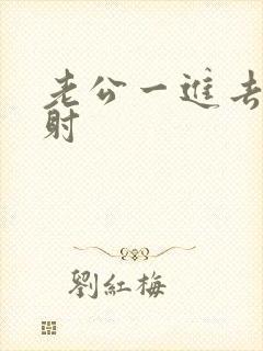 老公一进去就想射