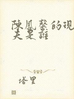 陈凤馨的现任丈夫是谁封面