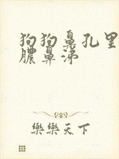 狗狗鼻孔里有黄脓鼻涕