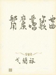 那么爱你也没有用原唱歌曲封面