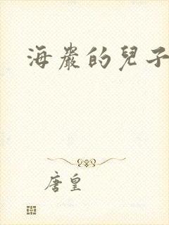 海岩的儿子