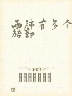 两肺有多个微小结节