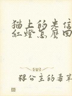 猫上的光信号闪红灯怎么回事