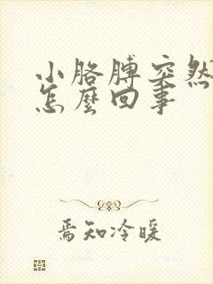 小胳膊突然疼是怎么回事封面