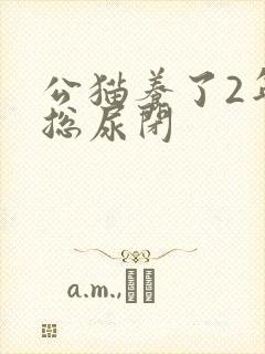 公猫养了2年了总尿闭