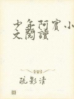 少年阿宾小说全文阅读封面