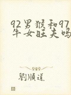 92男猴和97牛女旺夫吗封面
