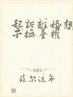 起诉离婚想要孩子抚养权封面