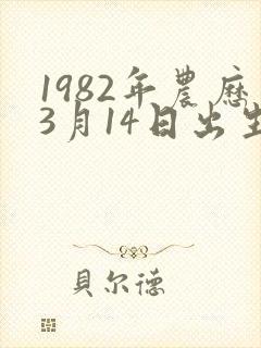 1982年农历3月14日出生的人命运