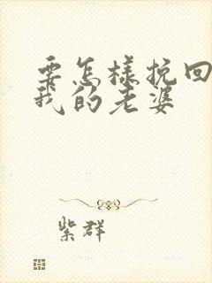 要怎样挽回不爱我的老婆封面