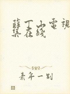 薛丁山电视剧全集在线