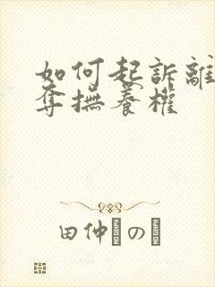 如何起诉离婚争夺抚养权