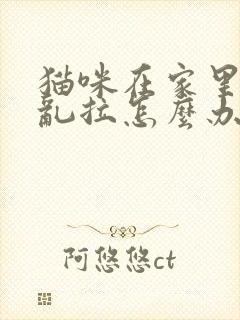 猫咪在家里乱尿乱拉怎么办