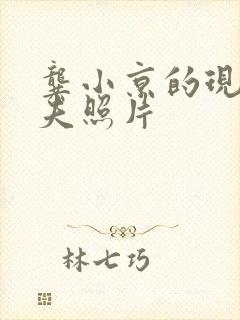 龚小京的现任丈夫照片