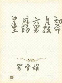 农历六月初二出生的男孩命运