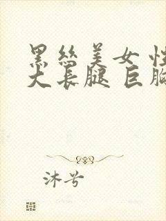 黑丝美女 性感大长腿 巨胸封面