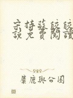 宋持苏皎皎的小说免费阅读封面