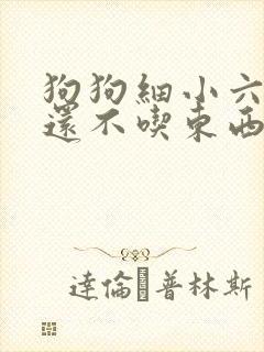 狗狗细小六天了还不吃东西怎么办