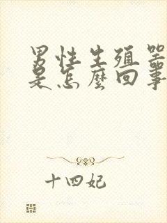 男性生殖器肿疼是怎么回事